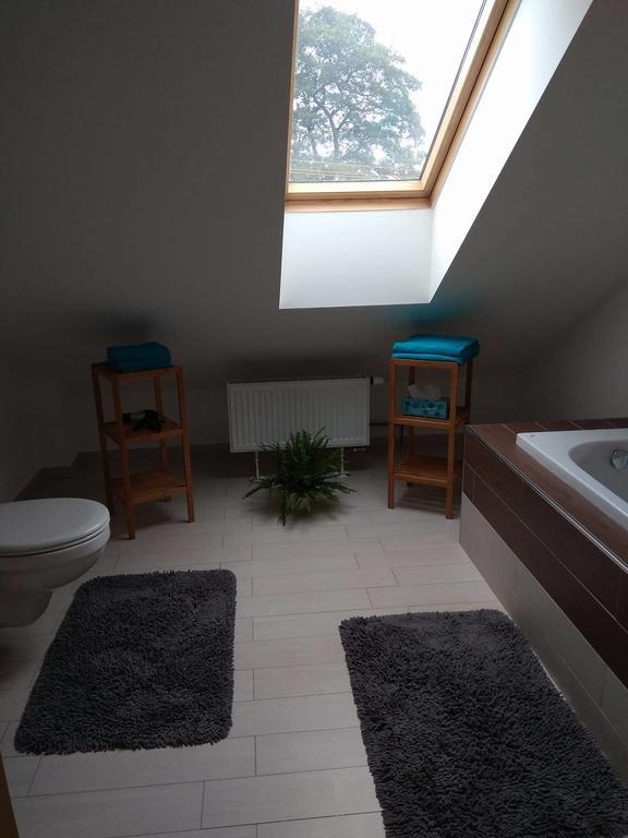 Bohutín Apartmany Pod Lesem מראה חיצוני תמונה